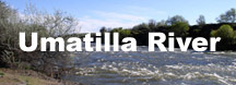 Umatilla River